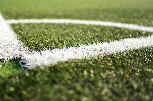 Artificial-turf-4994688__480