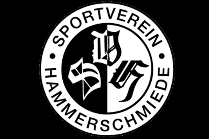 Hauptverein