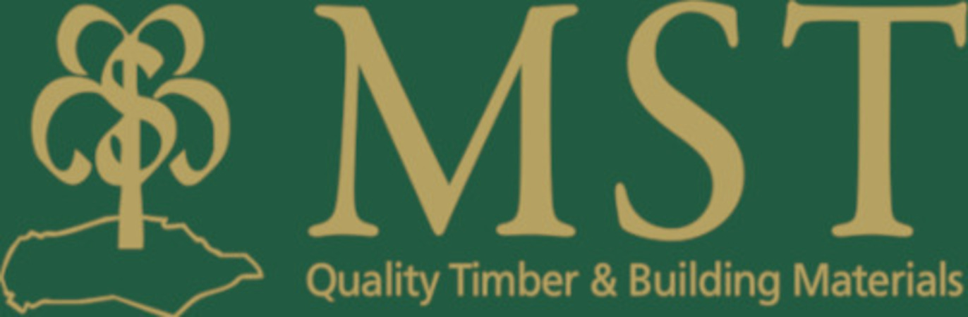 Mst_logo_trans