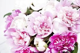 Billedresultat for blomster
