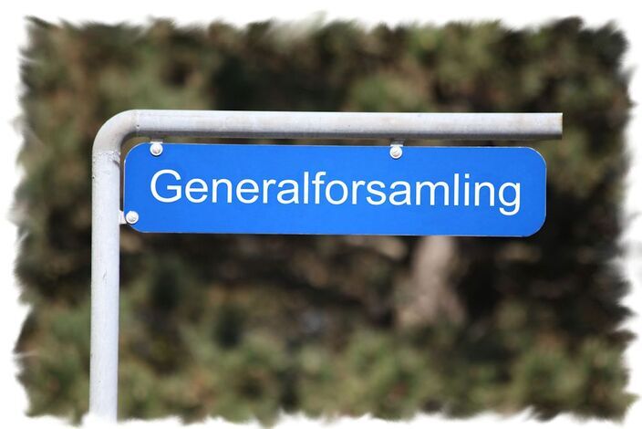 Billeder-generalforsamling-vennerne