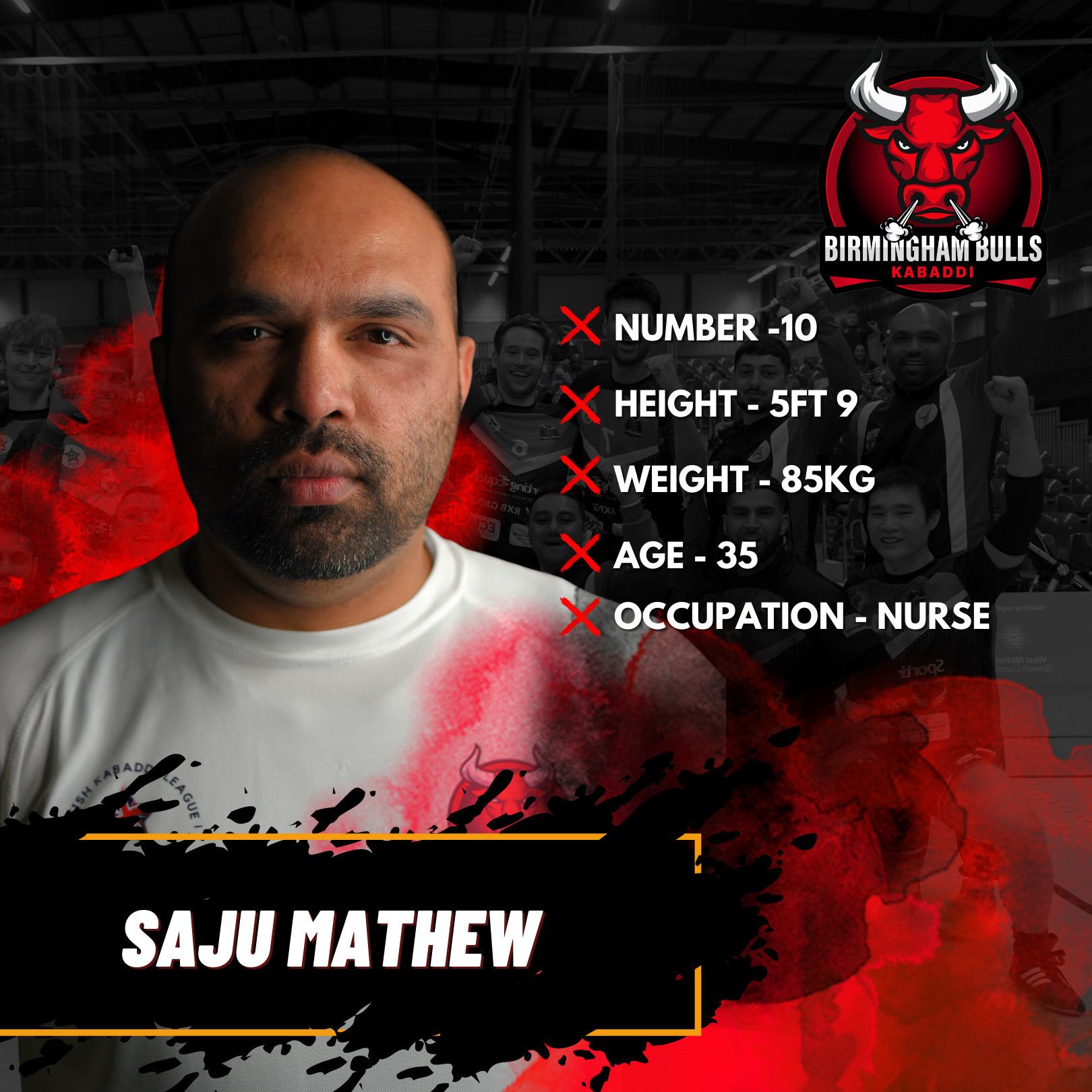 Birmingham Bulls - History