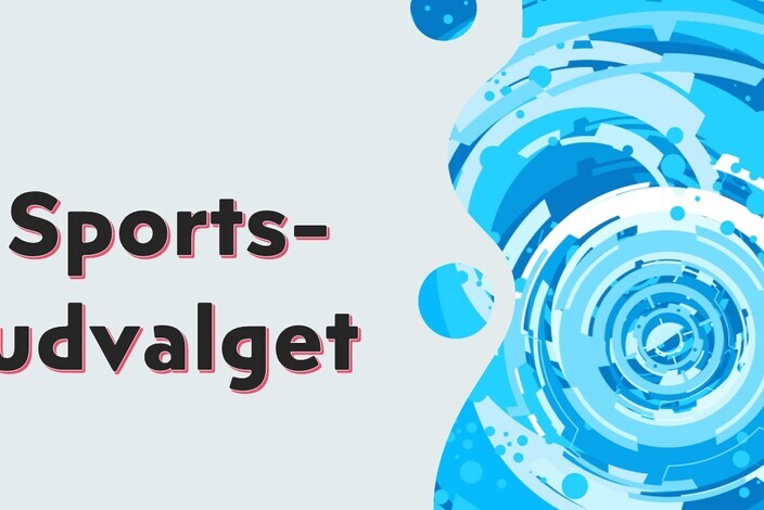 Sportsudvalg