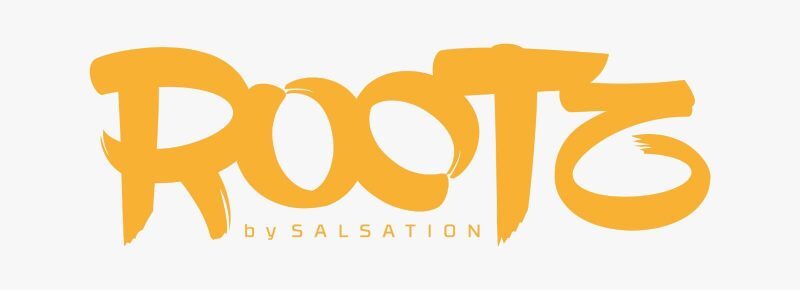 Rootz-logo-geel-800x290