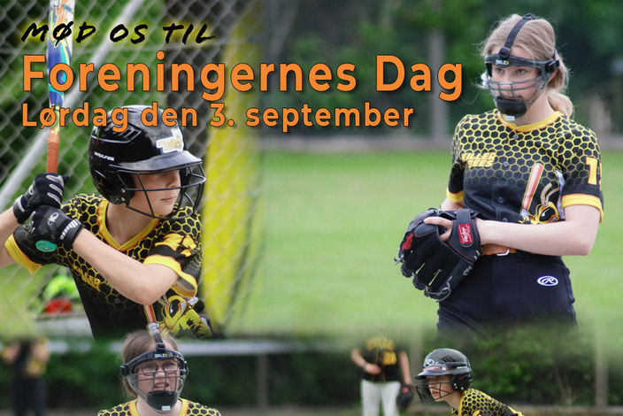 Foreningsdag