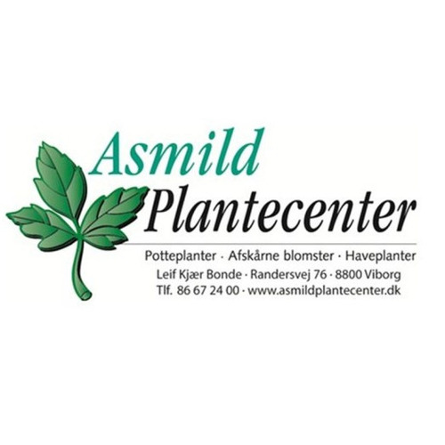 Asmild%20plantecenter_kvadratisk