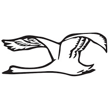 Svane