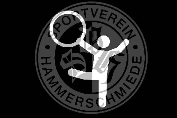 Bild%20gymnastik%20und%20turnen