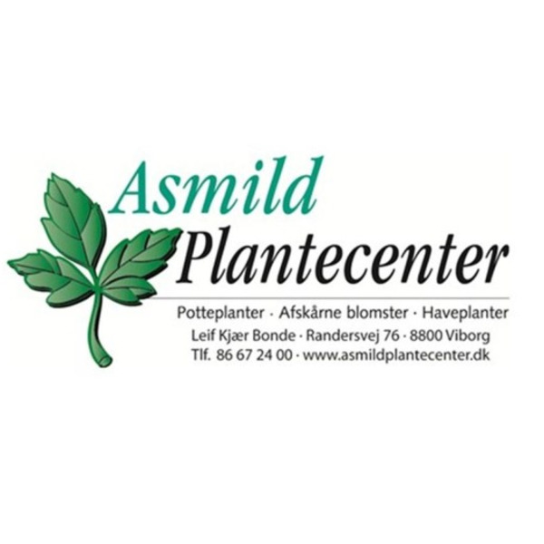 Asmild%20plantecenter_kvadratisk
