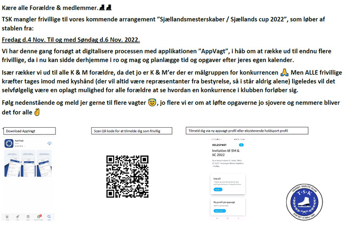 Frivillig%20opslag%20sm-sc%202022