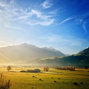 B45836f5-74d0-4bb6-9a8a-4465f8539e92.jpg