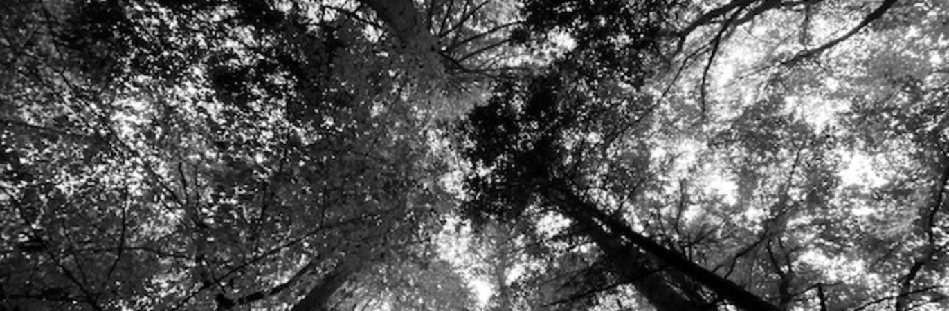 Img_1767