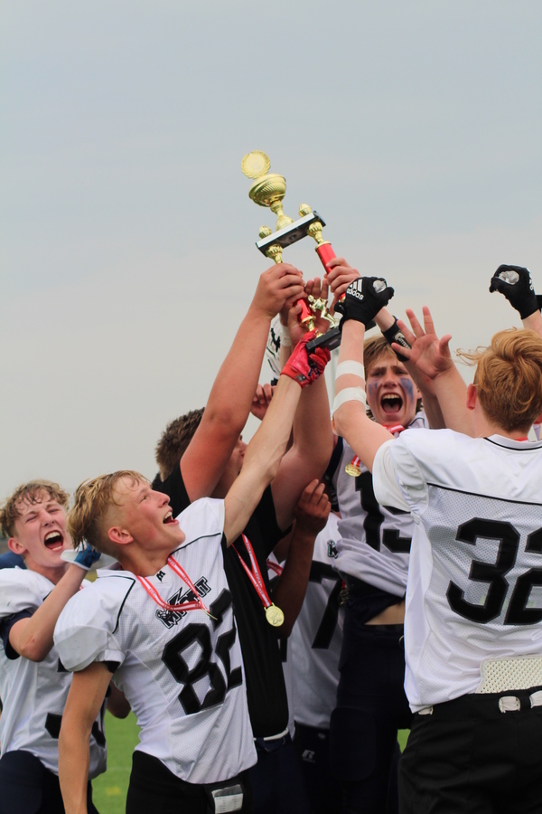 Guld%20til%20vikings%202