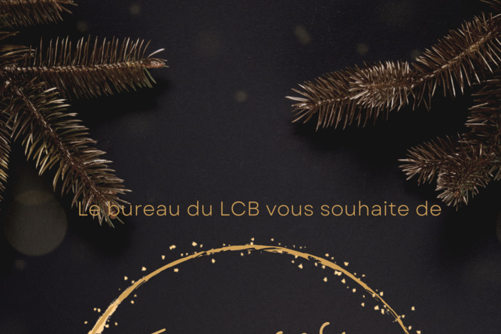 Joyeuses%20f%c3%aates