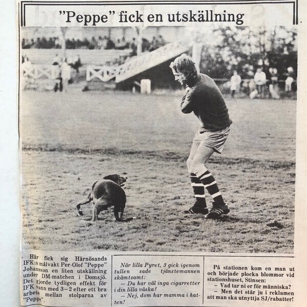 Peppe5