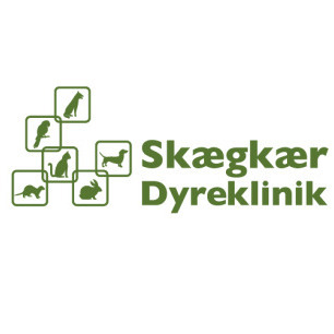 Raskedyr