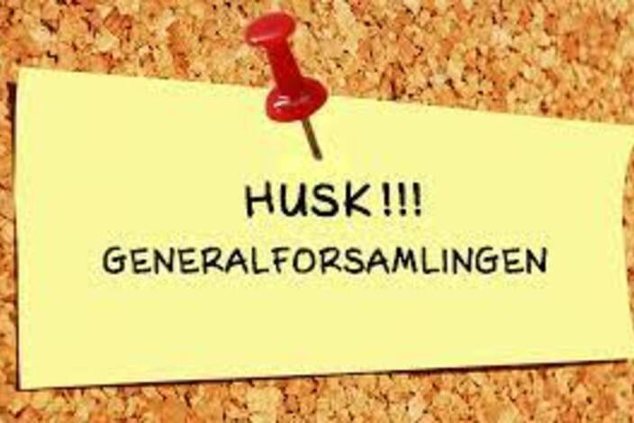 Generalforsamling