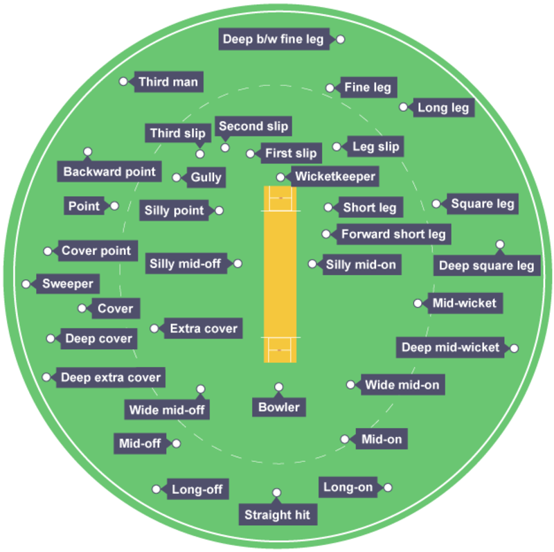 Cricket positions