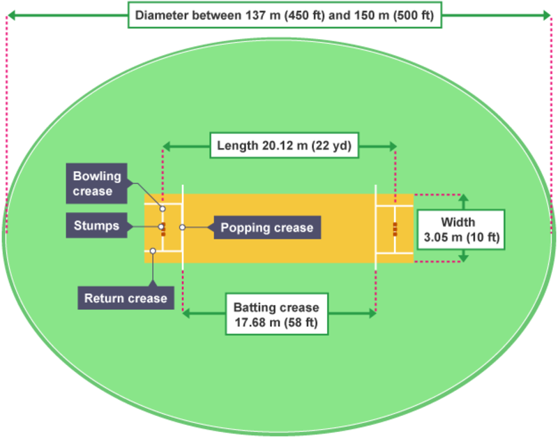 Cricket pitch and crease