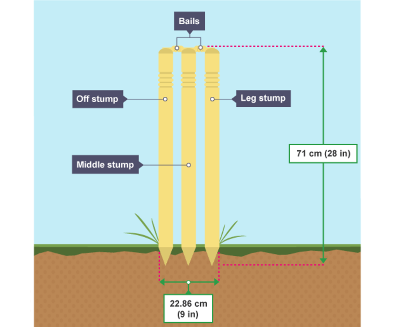Cricket stumps
