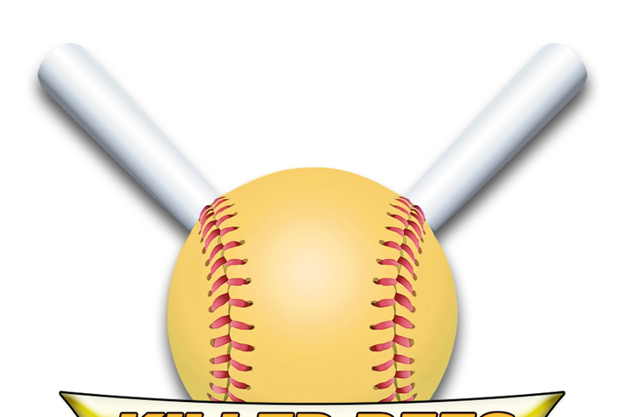 Skolesoftball%20logo
