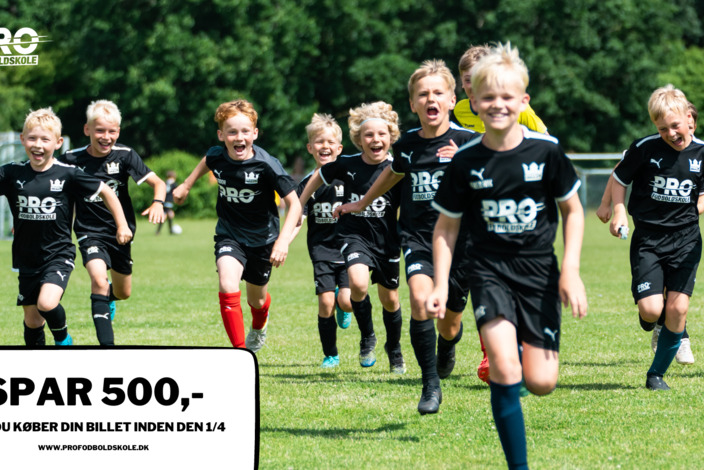 Et%20billede%2c%20der%20indeholder%20gr%c3%a6s%2c%20fodbold%2c%20tr%c3%a6%2c%20lege_spille%20%20automatisk%20genereret%20beskrivelse