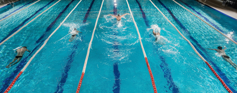 Swimmers in a race