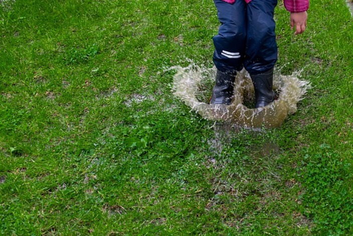 Puddle-g7ebaea281_640