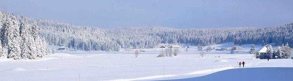 Img_0368