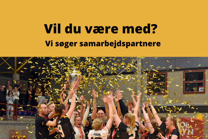 Din%20afsnitstekst
