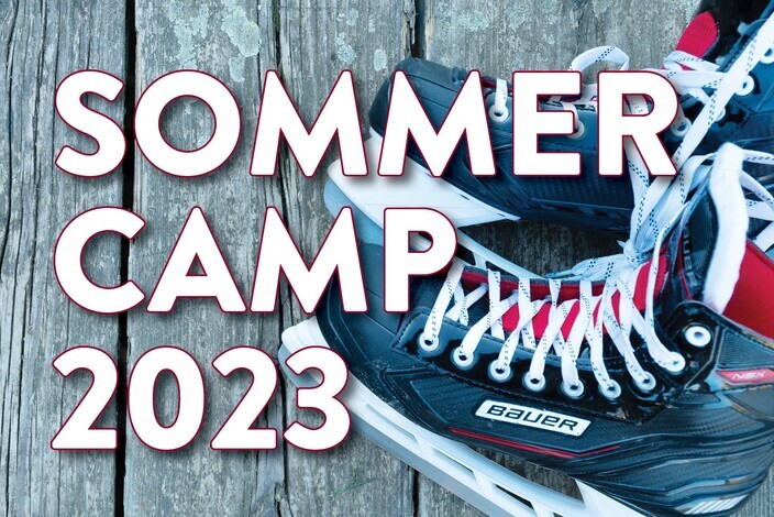 Sommercamp_holdsport