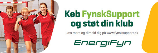 Energifyn