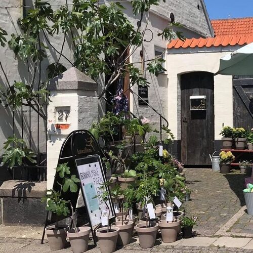 Blomsterkunsten