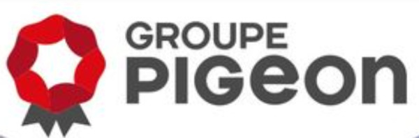 Pigeon