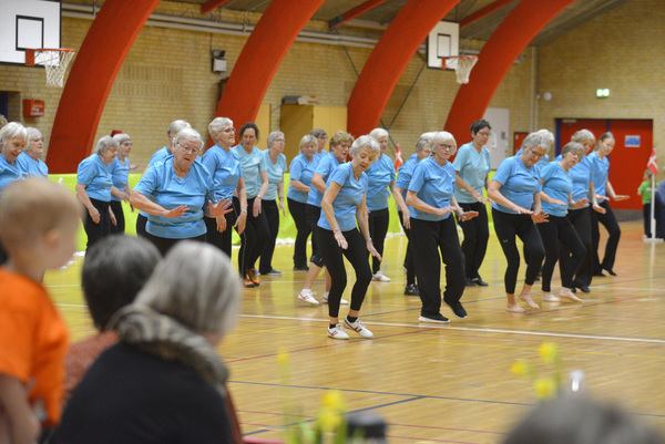 Motionsholdet%203