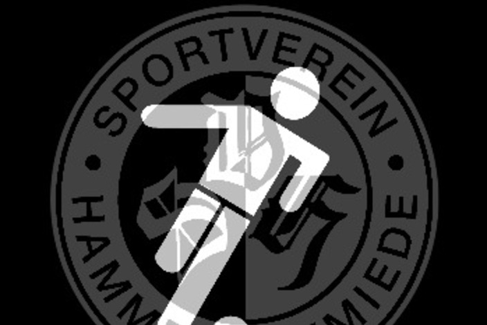 Logosvh