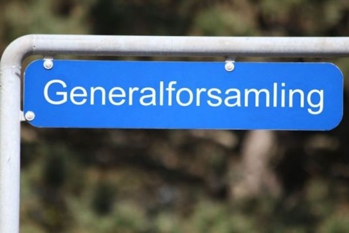 Generalforsamling