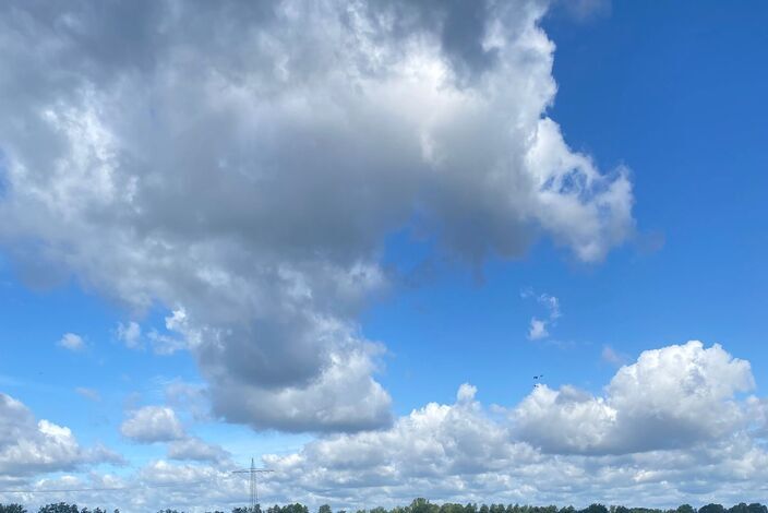 Img-20230808-wa0028