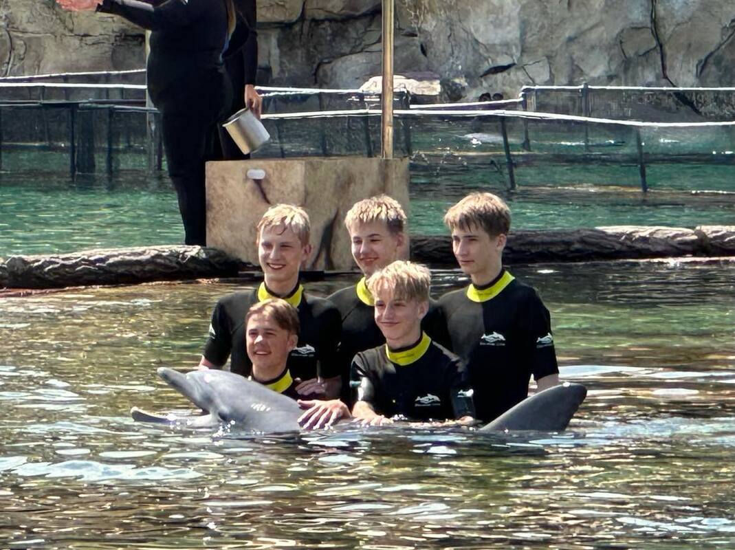 Discovery cove