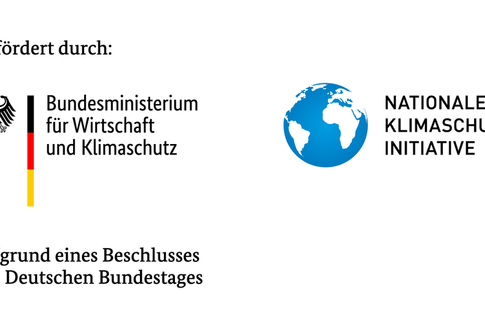 Bmwk_nki_gefoerdert_rgb_de_2022_quer