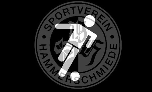 Logo%20svh%20fu%c3%9fball