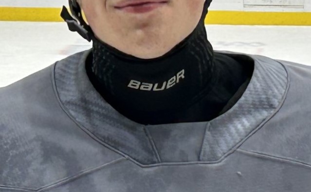 Groeningneckguard