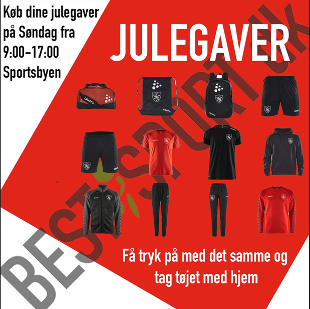 Billede1
