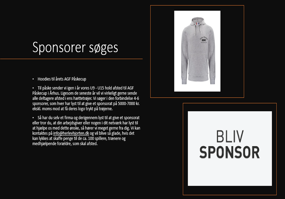 Sponsor