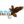 Zulgtal%20eagles