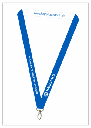 Lanyard