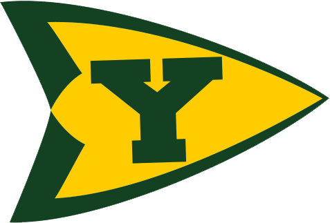 Cropped-ytownlogogul-1