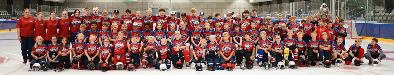 Silkeborg Next Level - ishockey camp - UGE 32, 2026 - Forhåndstilmelding