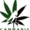 Teamcannabis
