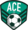 1%20badge%20ace%20fc